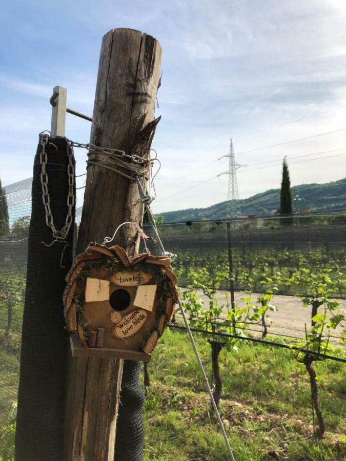 Maso Maroni Agriturismo Quinto di Valpantena Luaran gambar
