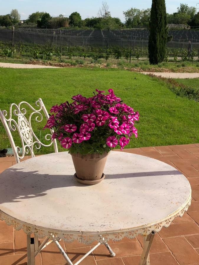 Maso Maroni Agriturismo Quinto di Valpantena Luaran gambar