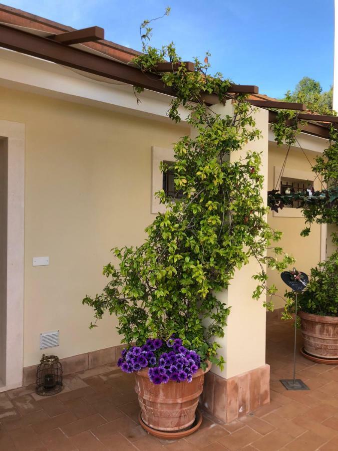 Maso Maroni Agriturismo Quinto di Valpantena Luaran gambar