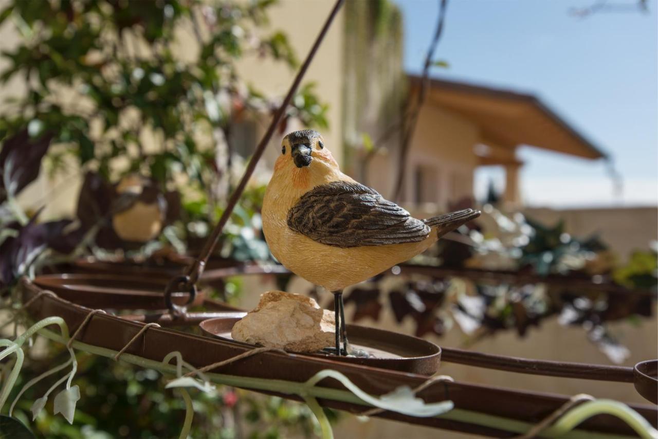 Maso Maroni Agriturismo Quinto di Valpantena Luaran gambar