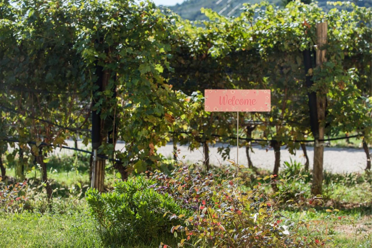 Maso Maroni Agriturismo Quinto di Valpantena Luaran gambar